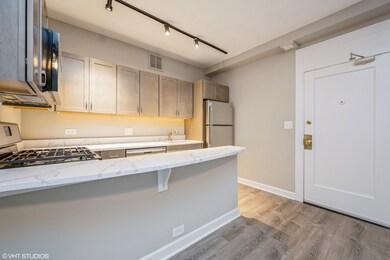 432 W Belmont Ave unit 608, Chicago, IL 60657 - photo 2