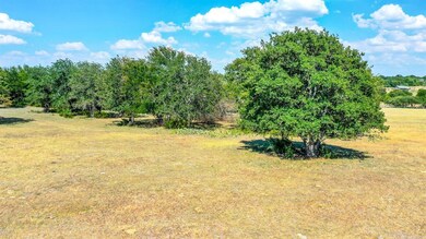 TBD Twin Springs Ranch Ln, Weatherford, TX 76087 - photo 3