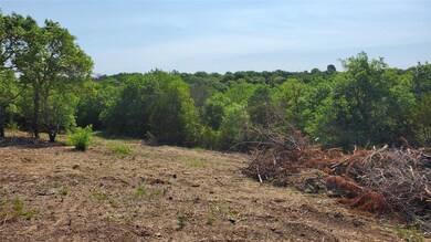 90 W Stege Coach Trail, Weatherford, TX 76085 - photo 7