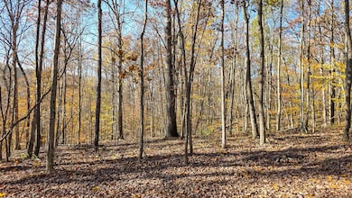 586 Nibert Rd unit (Ponds Poplar Ridge, Gallipolis, OH 45631 - photo 2