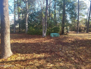 1008 Hendricks Ave, Jacksonville, NC 28540 - photo 2