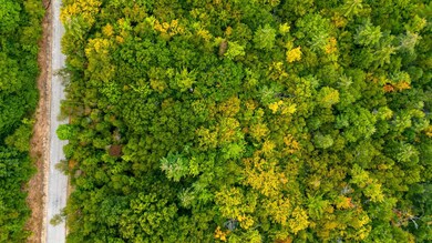 16-10 Winnipesaukee Dr unit Survey Lot 10-Town L, Wolfeboro, NH 03894 - photo 5