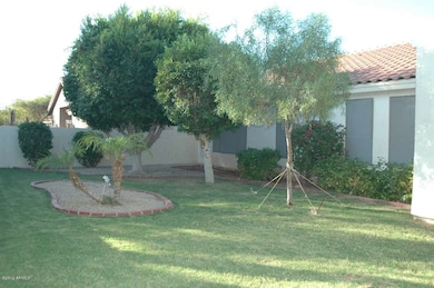 Yard