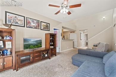 4848 Kerry Lynn View unit 205, Colorado Springs, CO 80922 - photo 5