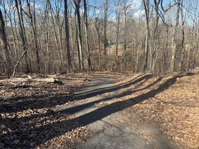 Tract 37 Village Dr, Cohutta, GA 30710 - photo 7