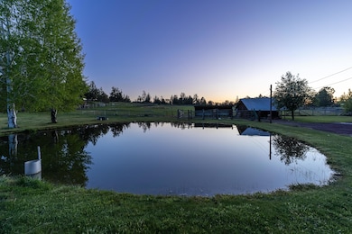 4 pond
