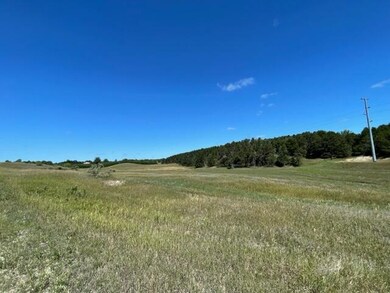 37 +/- Acres 2 Mile Rd Rd, Reed City, MI 49677 - photo 3