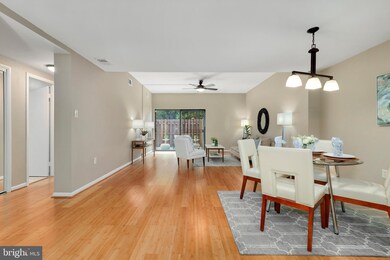 520 Brummel Ct NW unit 520, Washington, DC 20012 - photo 7