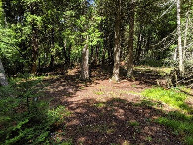 Cleared Walkway