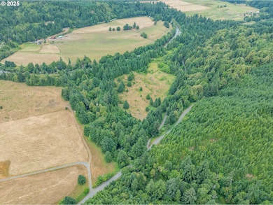 45651 Johnson Mountain Rd, Powers, OR 97466 - photo 3