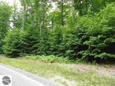 71 Broadwinged Way, Bellaire, MI 49615 - photo 7