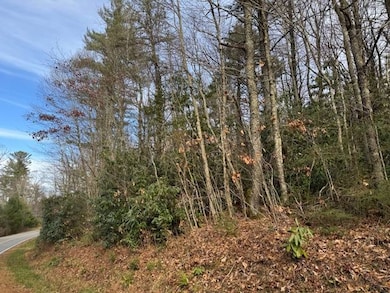 Tbd Joe Poore Rd, Jonas Ridge, NC 28657 - photo 2