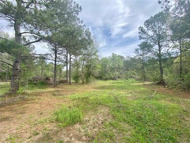 44035 Max Brumfield Rd, Franklinton, LA 70438 - photo 2