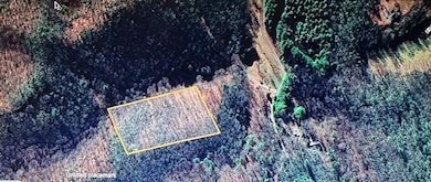 0 Calloway Cove Rd unit 418978, Hiawassee, GA 30546 - photo 5