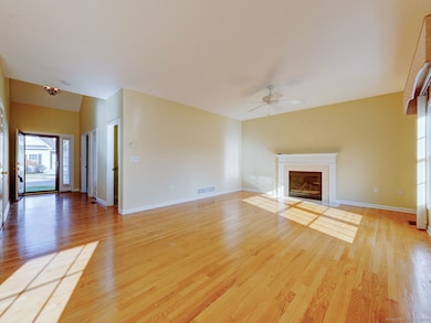 74 Brookview Place, Plantsville, CT 06479 - photo 6