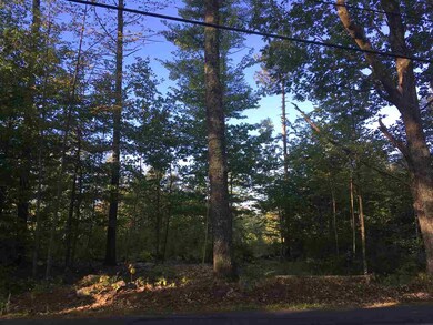 TBD Willey Rd, Brookfield, NH 03872 - photo 4