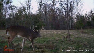 87 New Era Bluff Rd, Linden, TN 37096 - photo 6