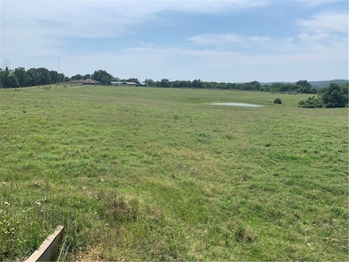 20263 Arkansas 16, Siloam Springs, AR 72761 - photo 4