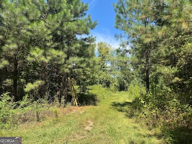 001 Cleghorn Dr, Tallassee, AL 36078 - photo 6