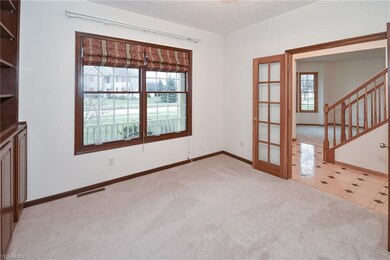Den With New Carpet And Custom Built-In.