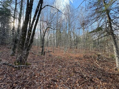 Map11 Lot1 High St, Westfield, ME 04730 - photo 7