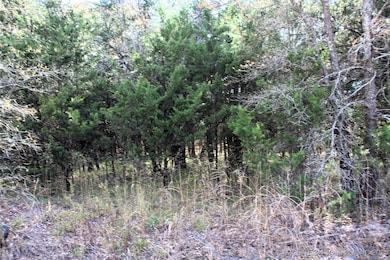 0 Red Lake Rd, Albany, OK 74726 - photo 6