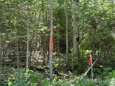 Parcel A Webb Rd, Burt Township, MI 49839 - photo 4