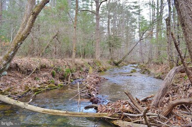 0 Dellinger Acres Rd, Edinburg, VA 22824 - photo 2