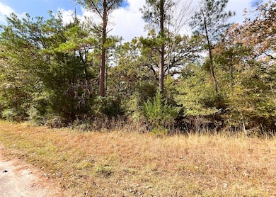 0 Frank Cloud Rd, Huntsville, TX 77320 - photo 5