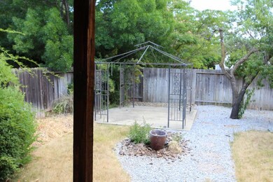 back yard (800x533)