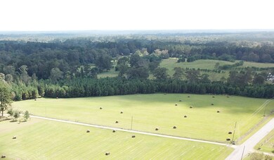 DJI_0280 (2)