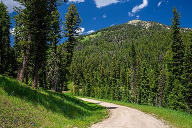 Tract 1A-1 Chief Joseph Trail, Big Sky, MT 59716 - photo 2