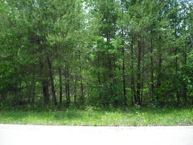 0 Riverview Ct (Lot #45) unit 1081359, Crossville, TN 38555 - photo 3
