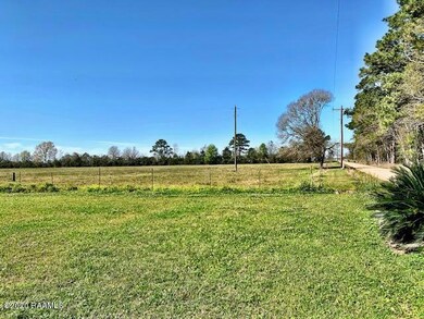 Tbd Mathew Whitney Rd, Basile, LA 70515 - photo 2