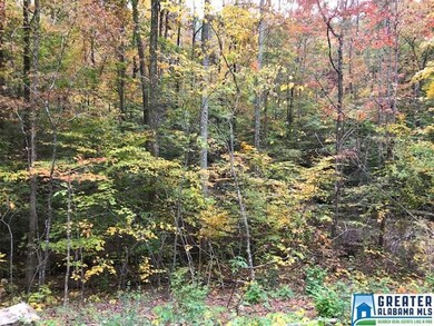 853 Pine Mountain Rd unit 1 Lot, Remlap, AL 35133 - photo 5