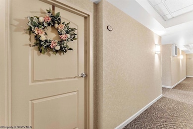 View at the Park I, Morgantown, WV 26505 - photo 2