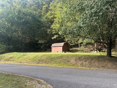 210 Country Farms Rd, Cedar Bluff, VA 24609 - photo 4