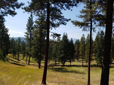 Nhn Torto Loop, Kila, MT 59920 - photo 3