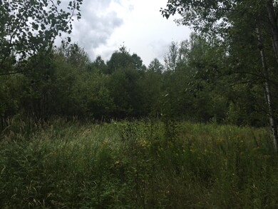 clearing