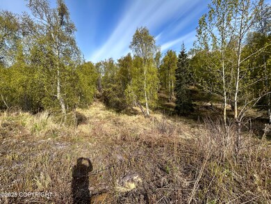 IMG_2459
