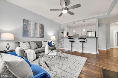 1833 California St NW unit 303, Washington, DC 20009 - photo 6