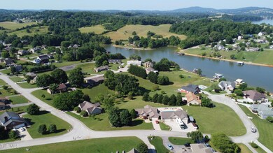 4185 Carnation Lot Areial View 4