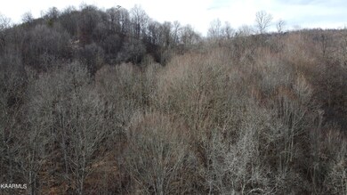 Rear view of property