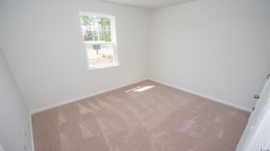 1001 Hawks Nest Ln unit Lot 56 - Macon B, Conway, SC 29526 - photo 4