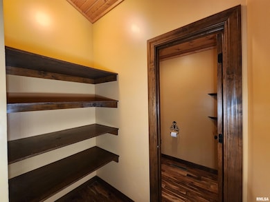 253 Ween Rd, de Soto, IL 62924 - photo 7