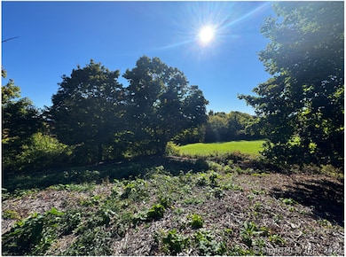 62 (Lot 13-1) James P Casey Rd, Bristol, CT 06010 - photo 2