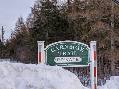 Carnegie Trail Lot