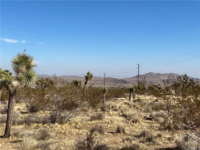 7800 La Contenta Rd, Yucca Valley, CA 92284 - photo 6