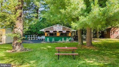 145 Chamberlaine Ave, Pottsville, PA 17901 - photo 5