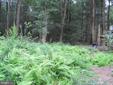 68 Edgewood Rd, Drums, PA 18222 - photo 3